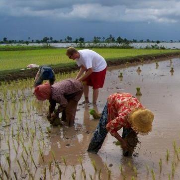 Senior Projects Abroad volunteers help working in the field as part of their Khmer cultural experience in Cambodia. Volunteers over 50 learning about the Khmer culture in Cambodia, take part in basic farm work with locals.